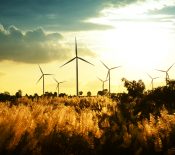 Unlocking The Potential for Wind Energy in Southeast Asia: Evidence from Indonesia, the Philippines, and Thailand