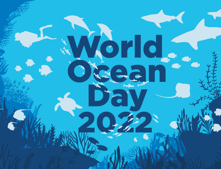 World Ocean Day: Towards Another, Cooperative, « Indo-Pacific? »