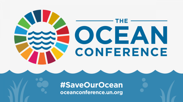 UN ocean conference: our issue brief on blue economy in the Bay of Bengal: common issues, shared expertise?